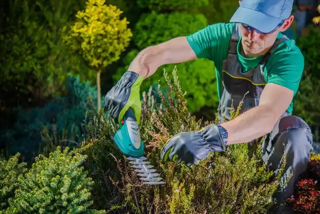 landscaping services Garden City